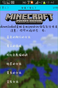 MCPE Skin Downloader2(ҵ֙C0.11.0Ƥwd)׿ĝh؈D0