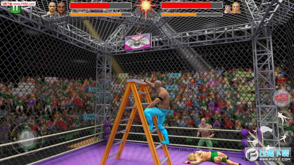 Cage Wrestling(\ˤӱِİ)v1.0.4؈D2