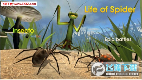 Life of spider֩һ֙C1.0؈D0