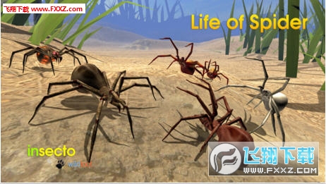 Life of spider֩һ֙C1.0؈D2