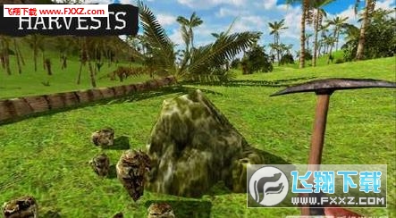 Survival Island: Evolve(čuMھC)؈D1