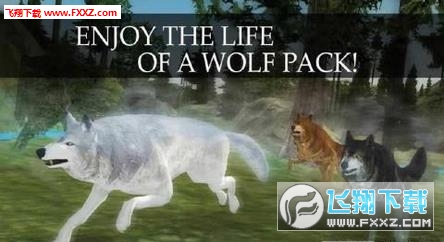 Wild Wolf Quest Online(Ұھ[h)؈D0