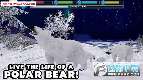 PolarBearSim(OģM°)؈D0