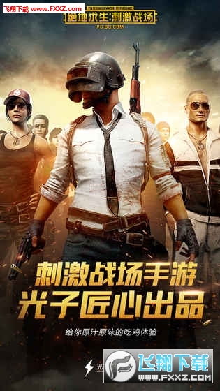 PUBG MOBILE LITE(PUBG Mobile̼)v0.11.3؈D0