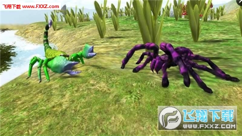 Tarantula Simulator 3D(֩ȺģM׿)؈D0